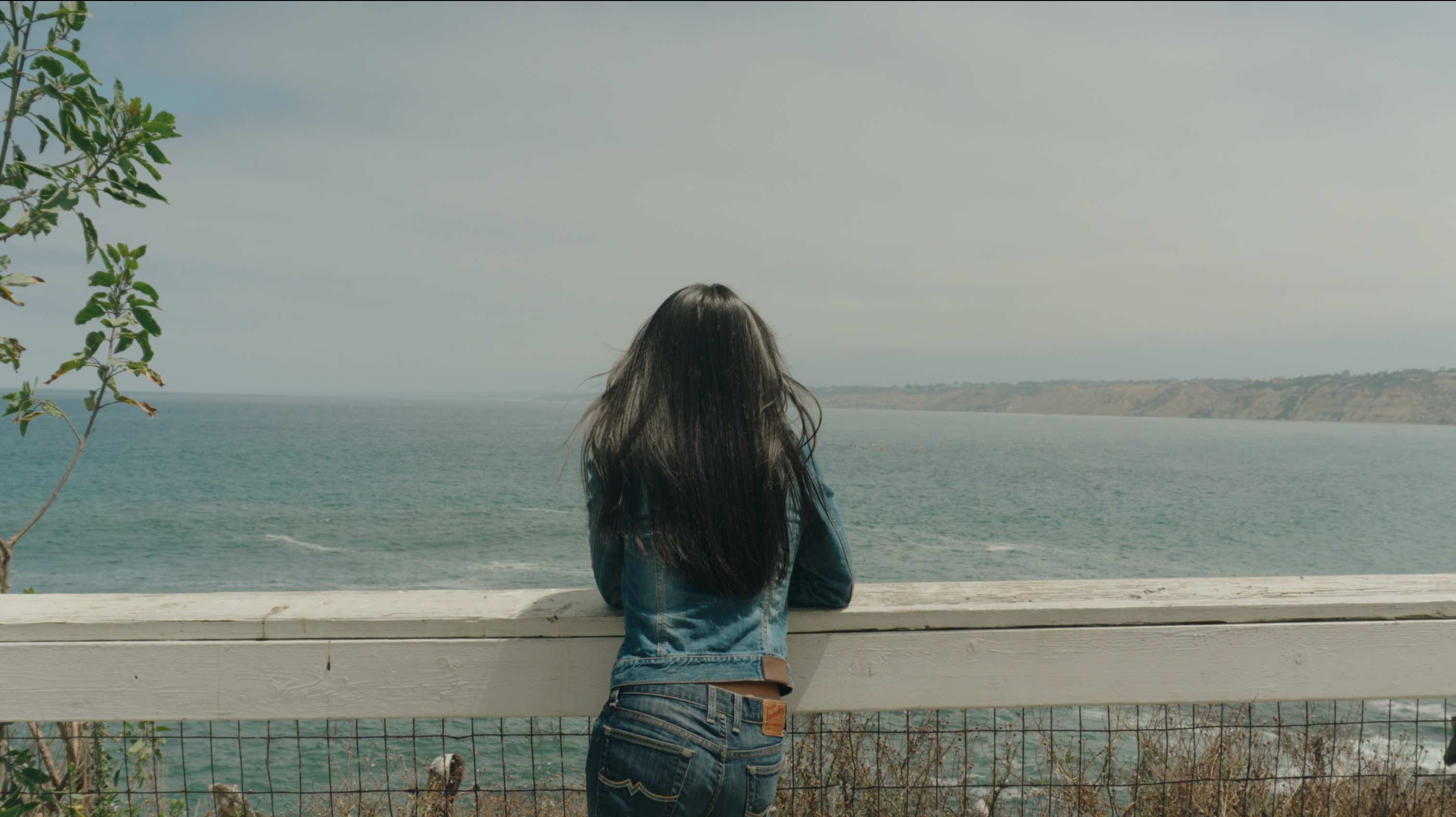 A person with long dark hair, seen from behind, leans on a railing overlooking the ocean.