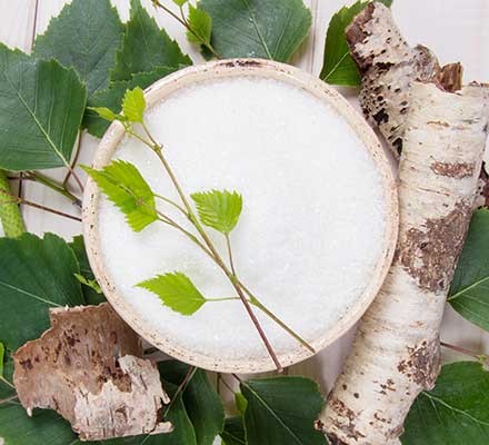 Bowl of white powder surrounded by birch leaves and bark.