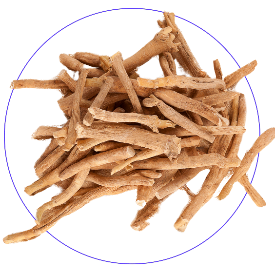 A pile of dried, light brown roots is shown inside a purple circle against a white background.