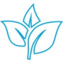 A light blue line drawing of a plant with three leaves.