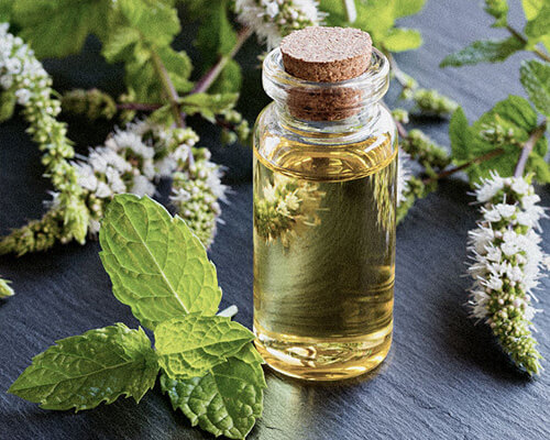 A small glass bottle with cork, surrounded by mint leaves and flowers.