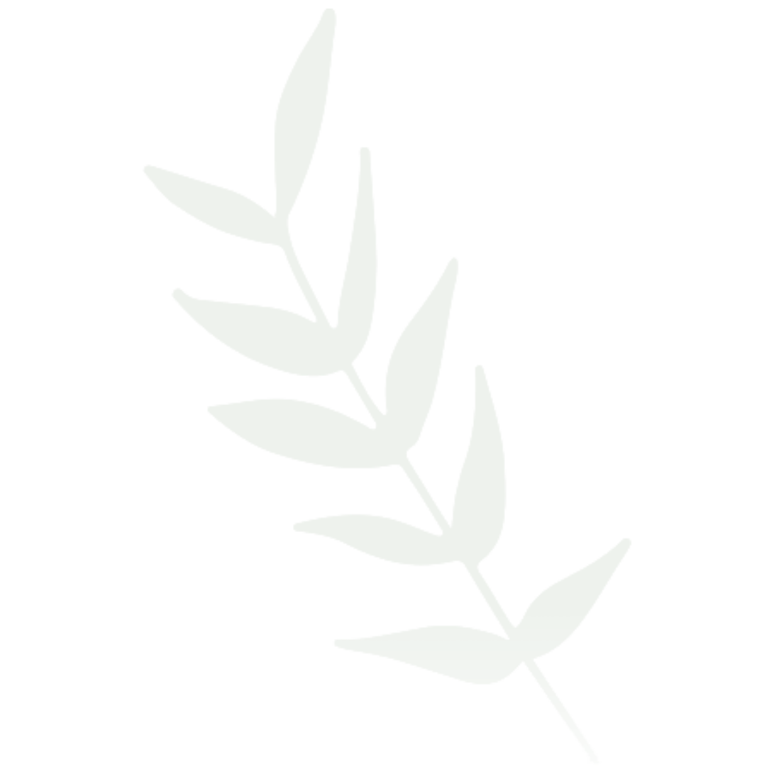 Simple illustration of a white leaf branch on a gray background.
