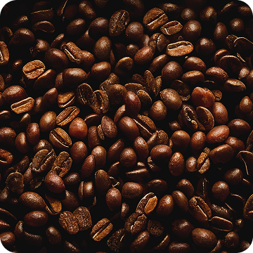 A close-up, top-down view of roasted coffee beans filling the frame.