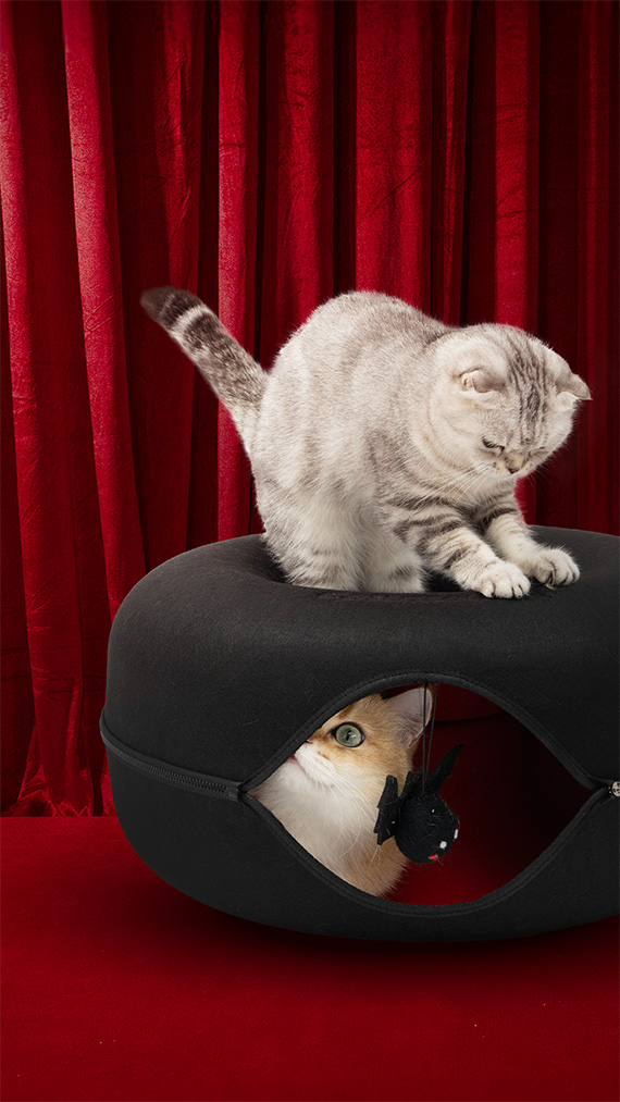 Two cats interacting with a black pet bed; one is inside, one is on top.