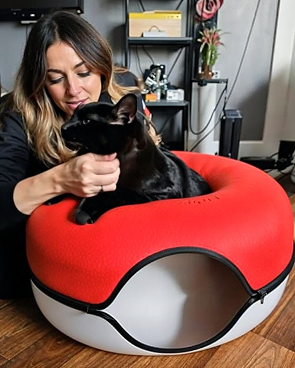 Woman petting a black cat sitting in a red and white pet bed.