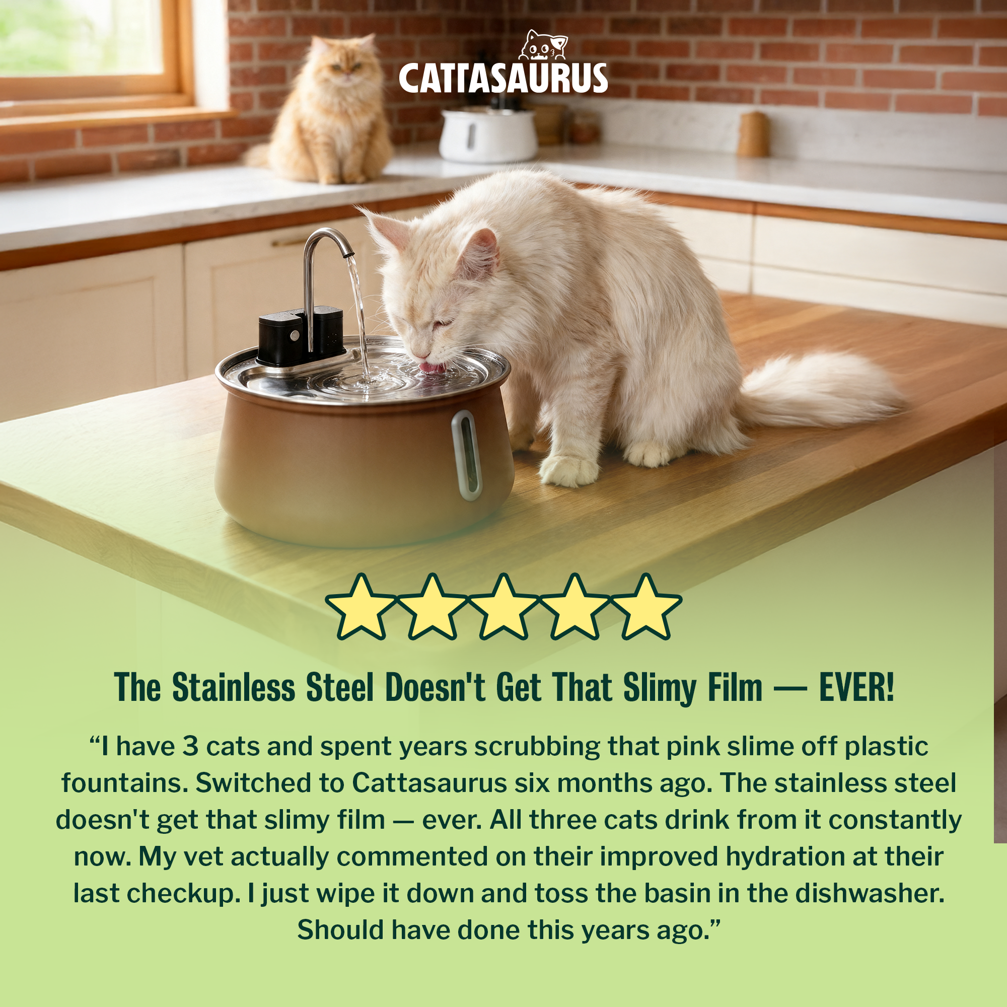 A fluffy cat drinks from a water fountain on a kitchen counter while another cat sits behind it.