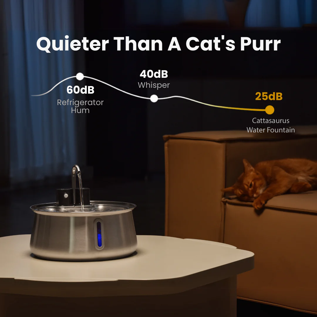 Stainless steel water fountain on table, sleeping cat on sofa, noise level comparison chart above.