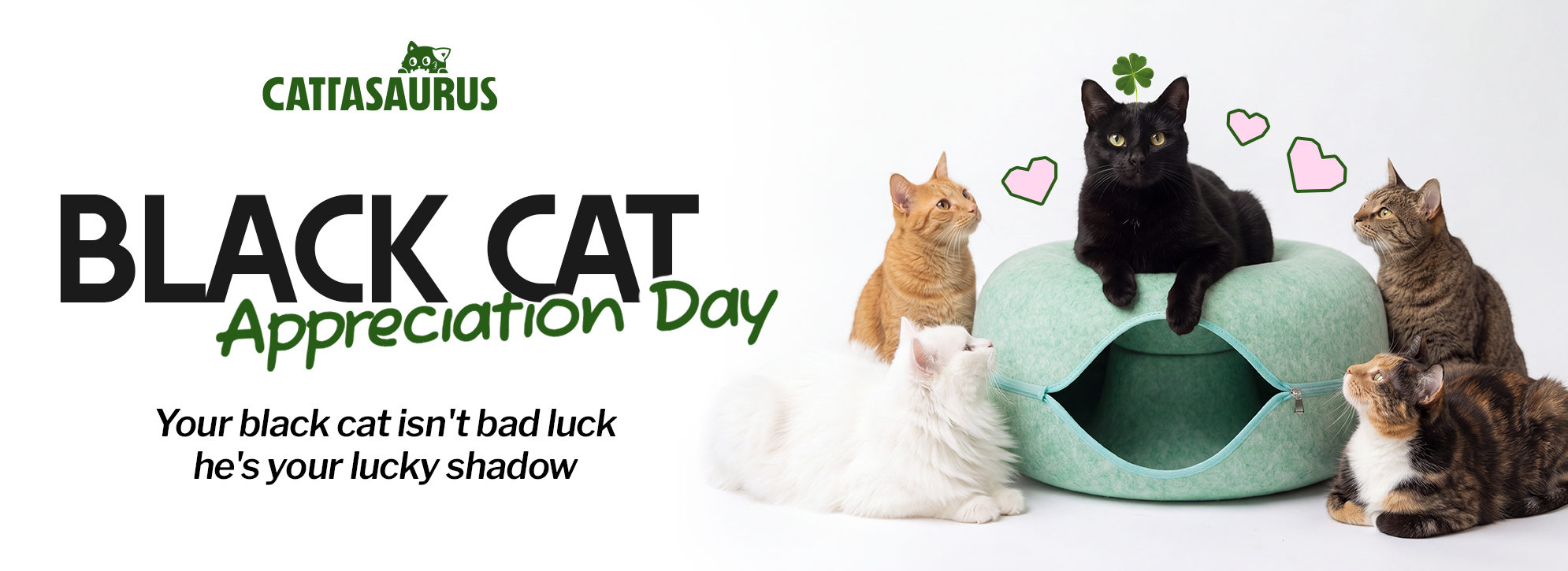 'It's Fall Y'all' promotional banner with a cat being petted on a fluffy bed.