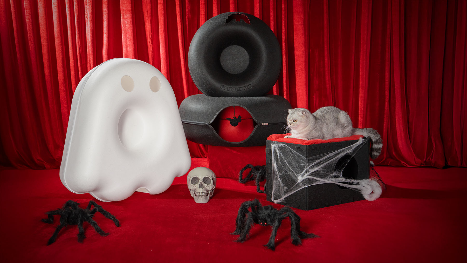 Cat on a decorated box with fake spiders and a skull on a red background.