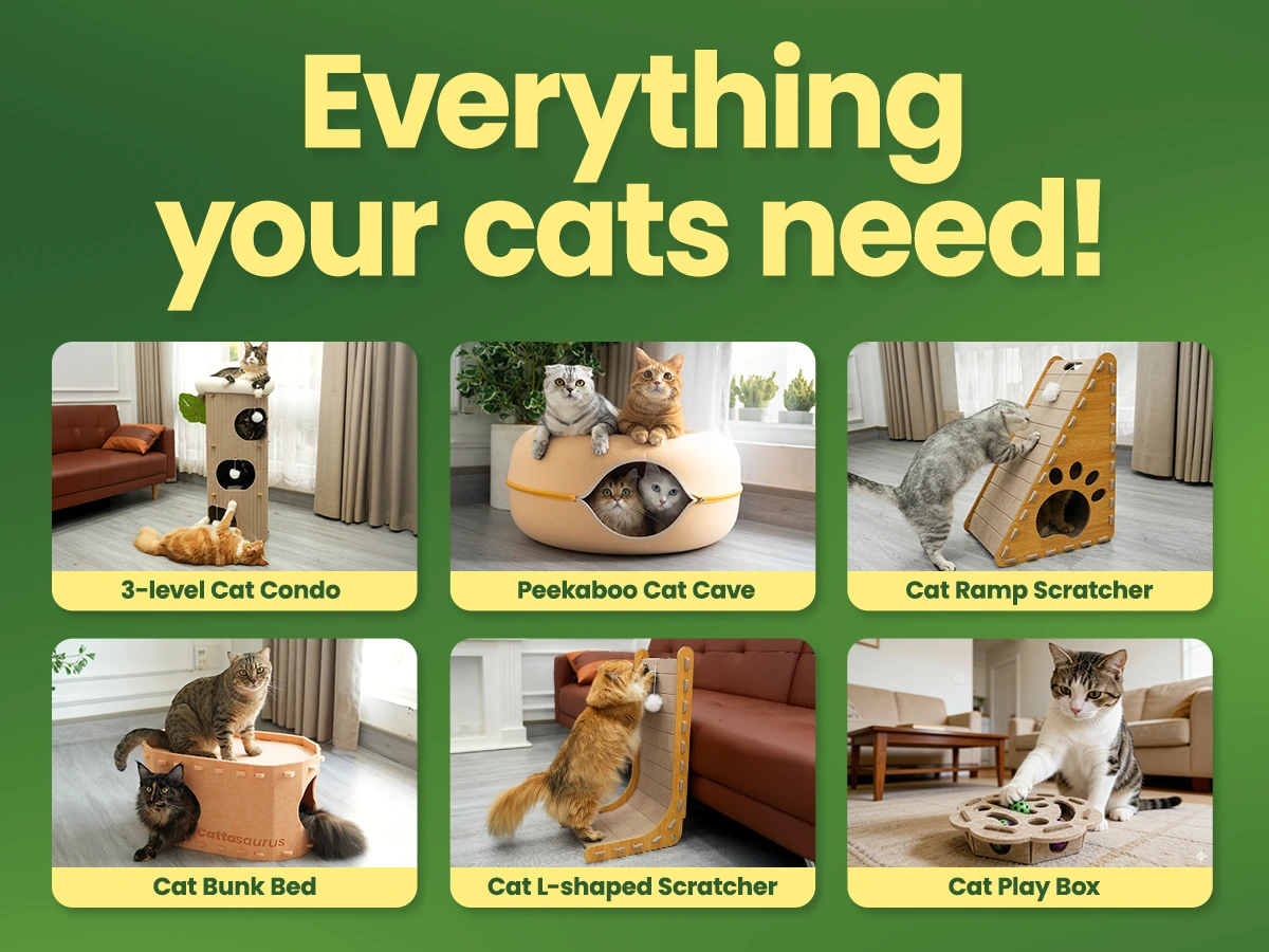 Collage of six cat toys with images and labels on green background.