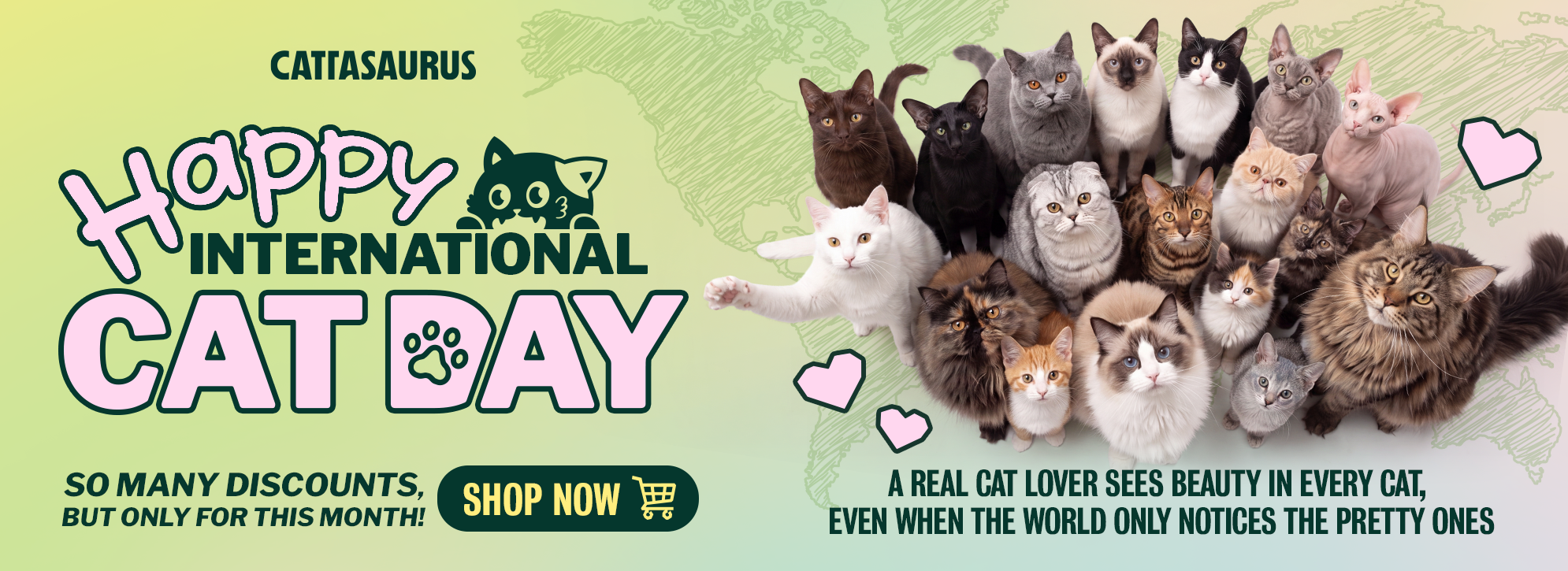 'It's Fall Y'all' promotional banner with a cat being petted on a fluffy bed.