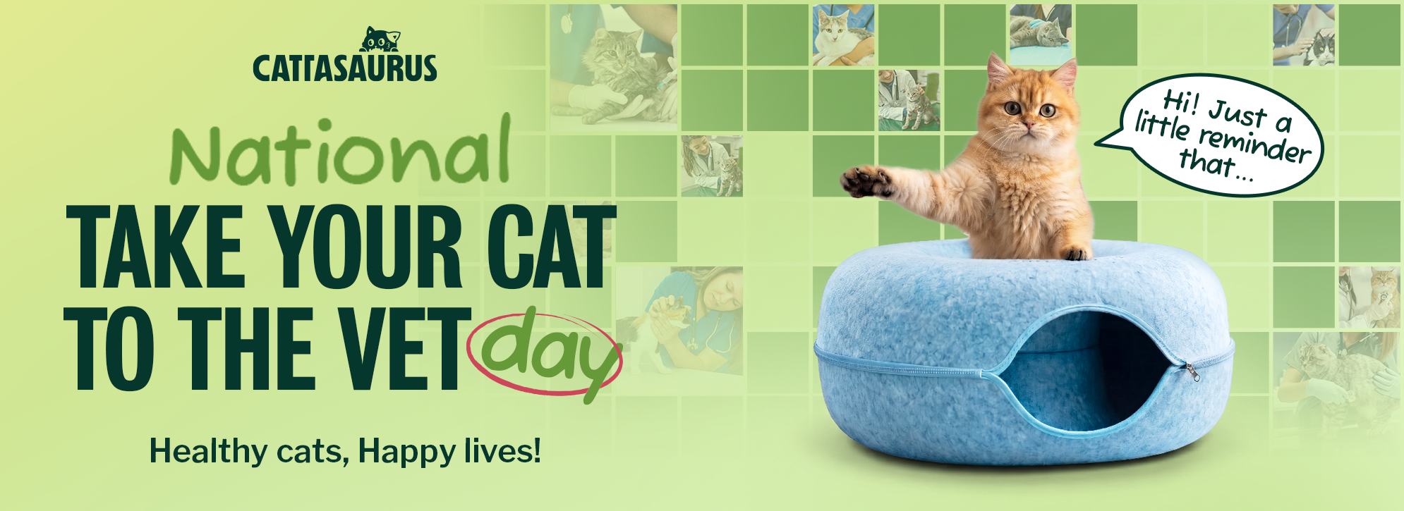'It's Fall Y'all' promotional banner with a cat being petted on a fluffy bed.