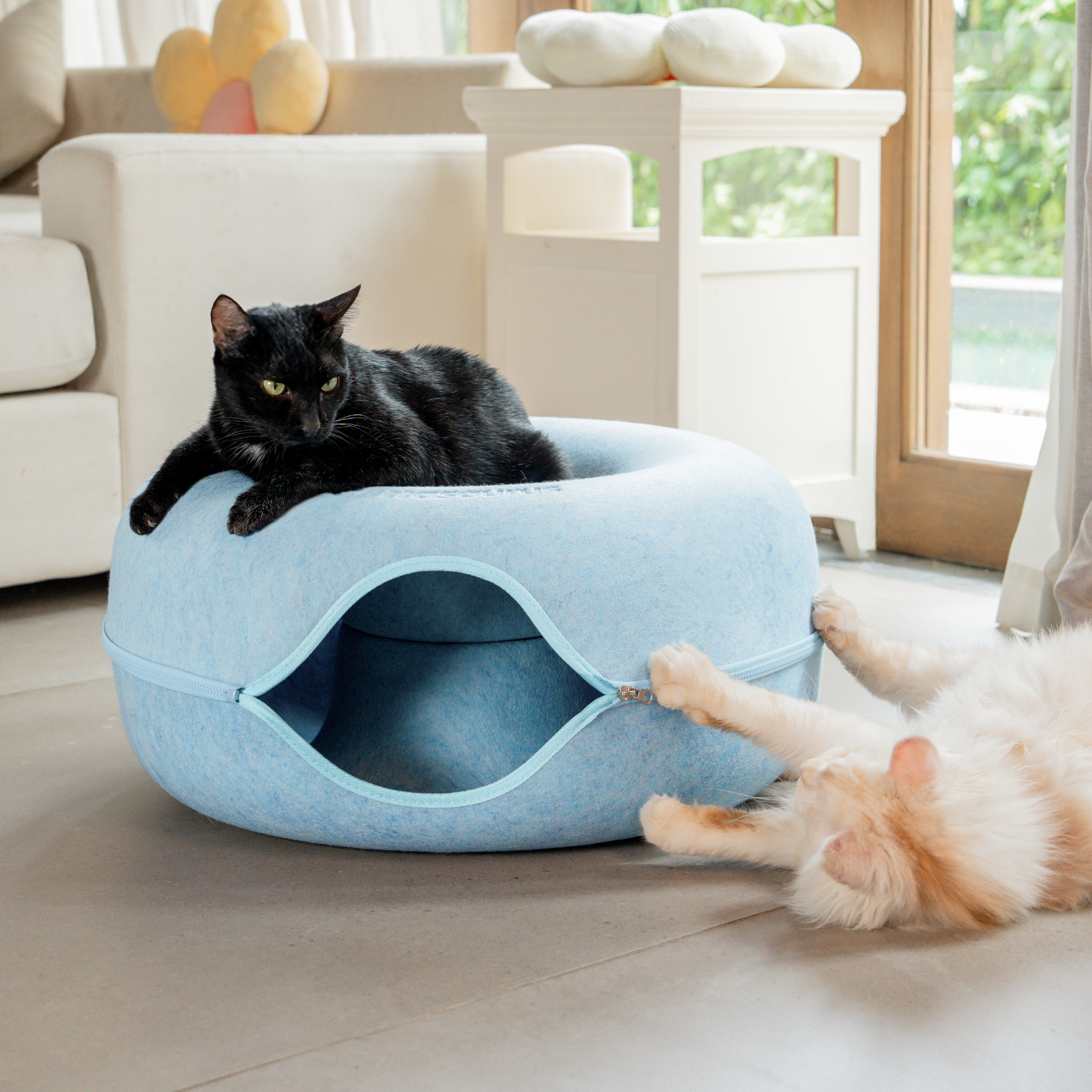 A black cat rests on a blue donut-shaped cat bed while a ginger cat plays with it from below.