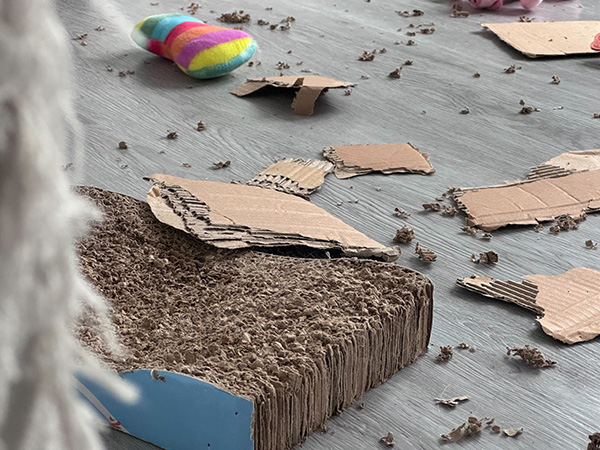 Torn cardboard pieces and a colorful toy on a wooden floor.