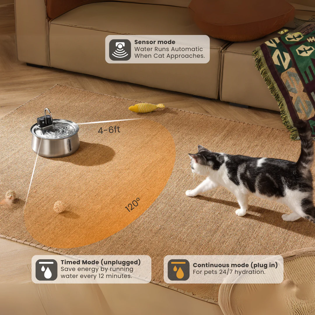 Cat near a water fountain with sensor mode, rug with a toy fish.
