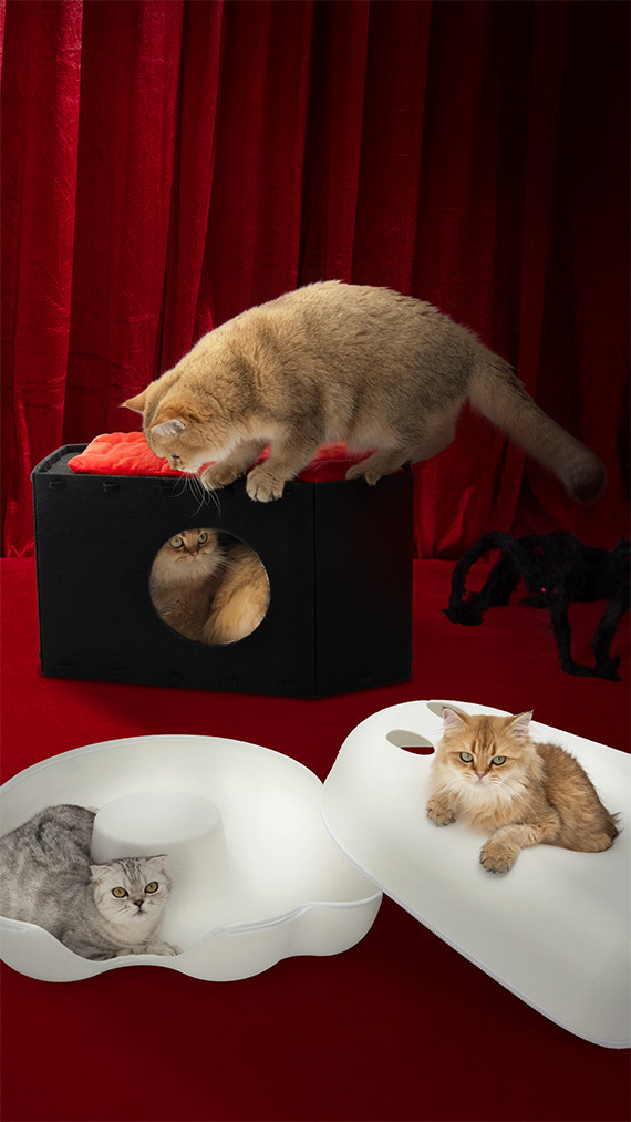 Four cats in a room with red curtains, on a black cube and white trays.