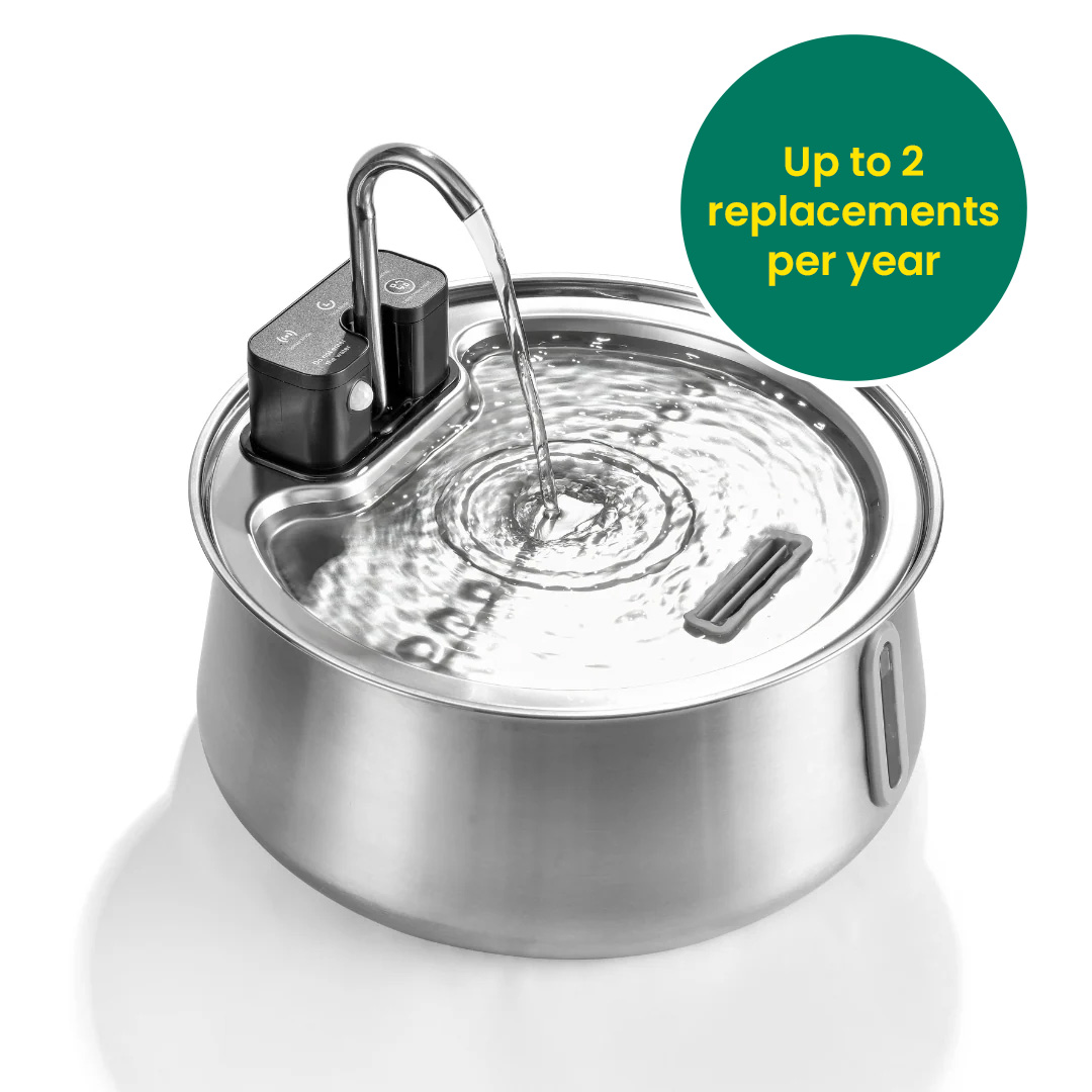 A stainless steel pet water fountain with a spout and circular ripple.