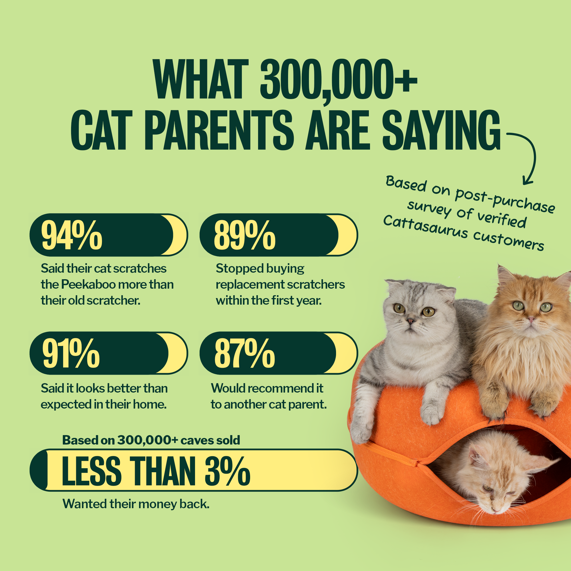 Infographic with survey results from 300,000+ cat parents, showing three cats in an orange cat bed.