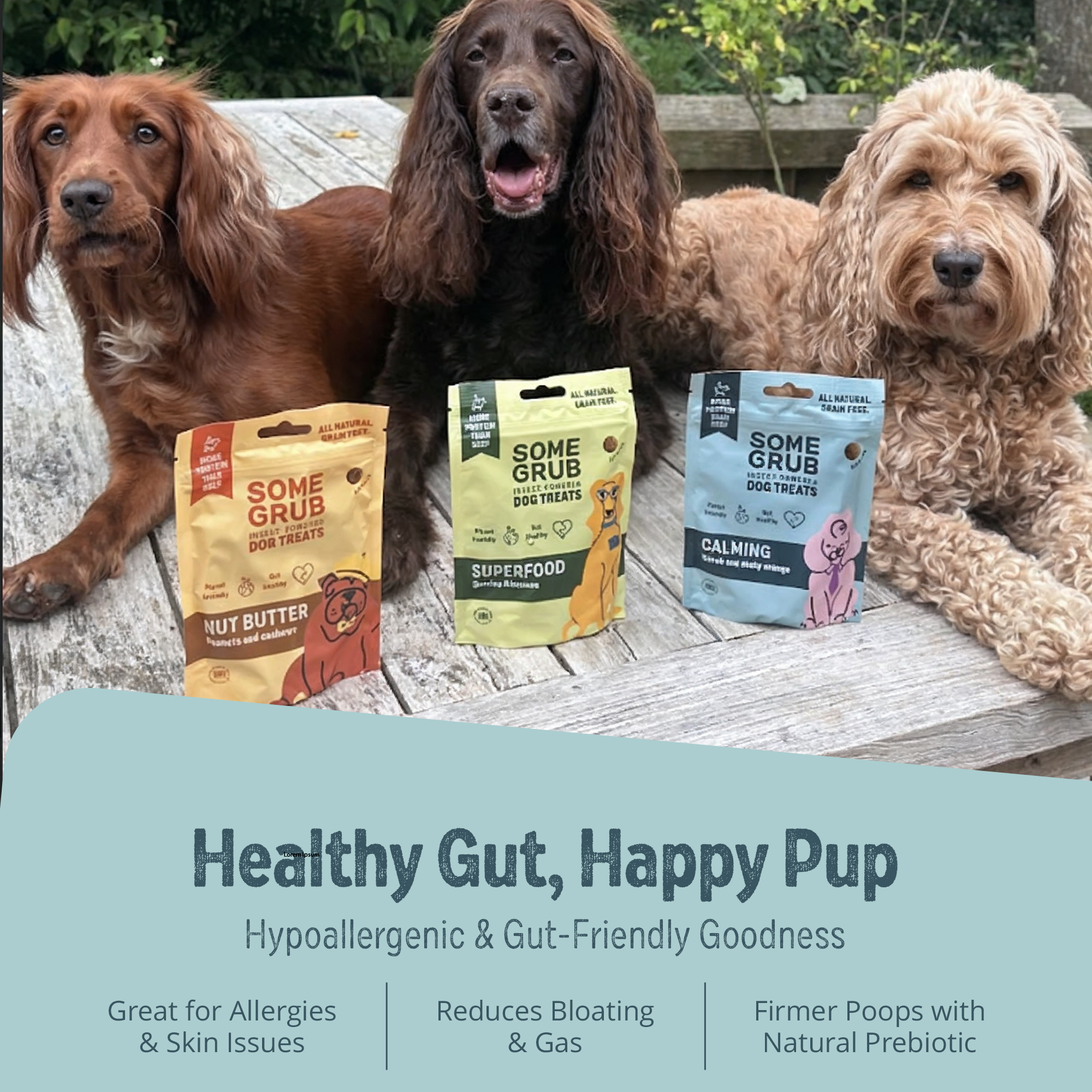 Three dogs sitting behind bags of dog treats on a wooden bench.