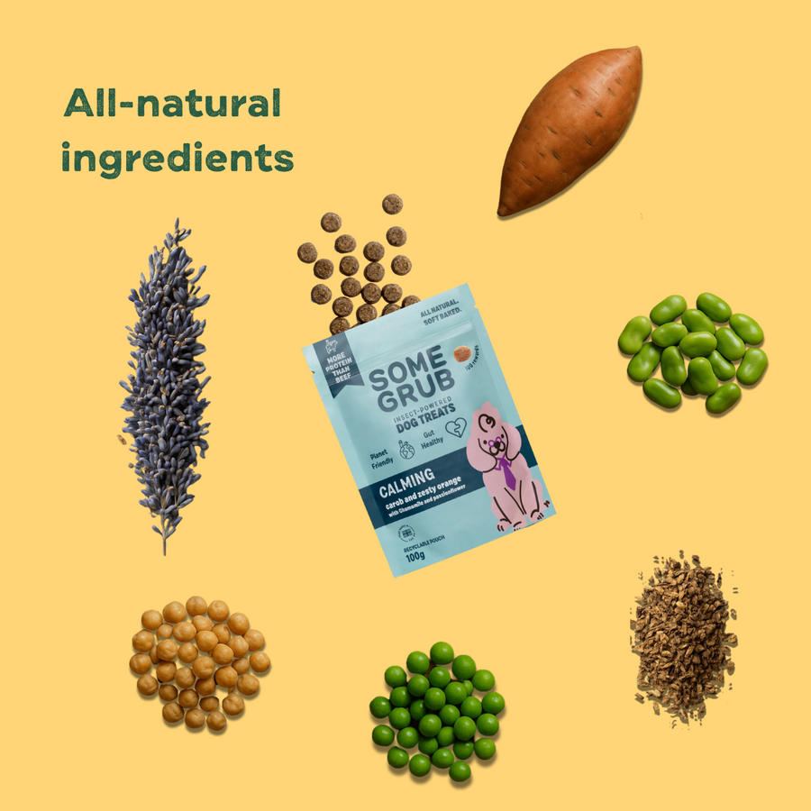 Dog treat package surrounded by natural ingredients on a yellow background.