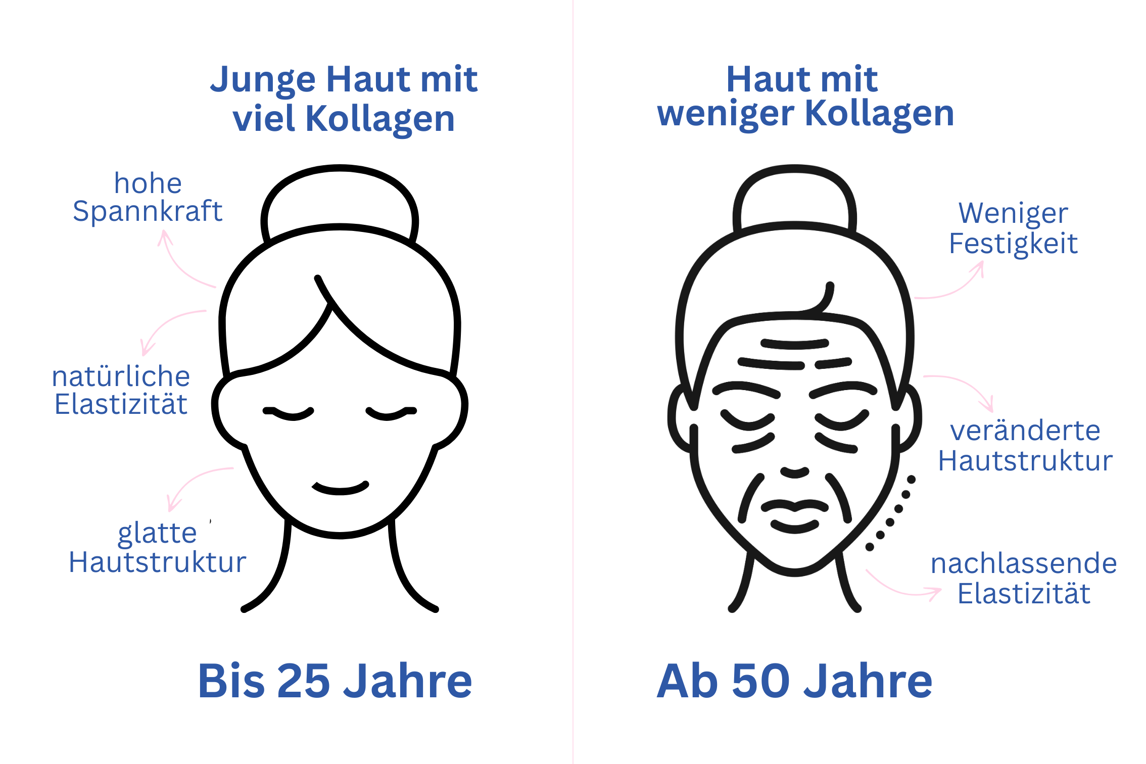 Illustration contrasting young and older skin with text in German.