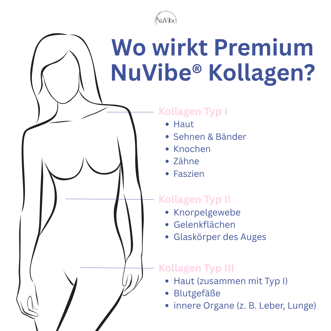 Illustration of a woman with text about NuVibe collagen types and their effects.