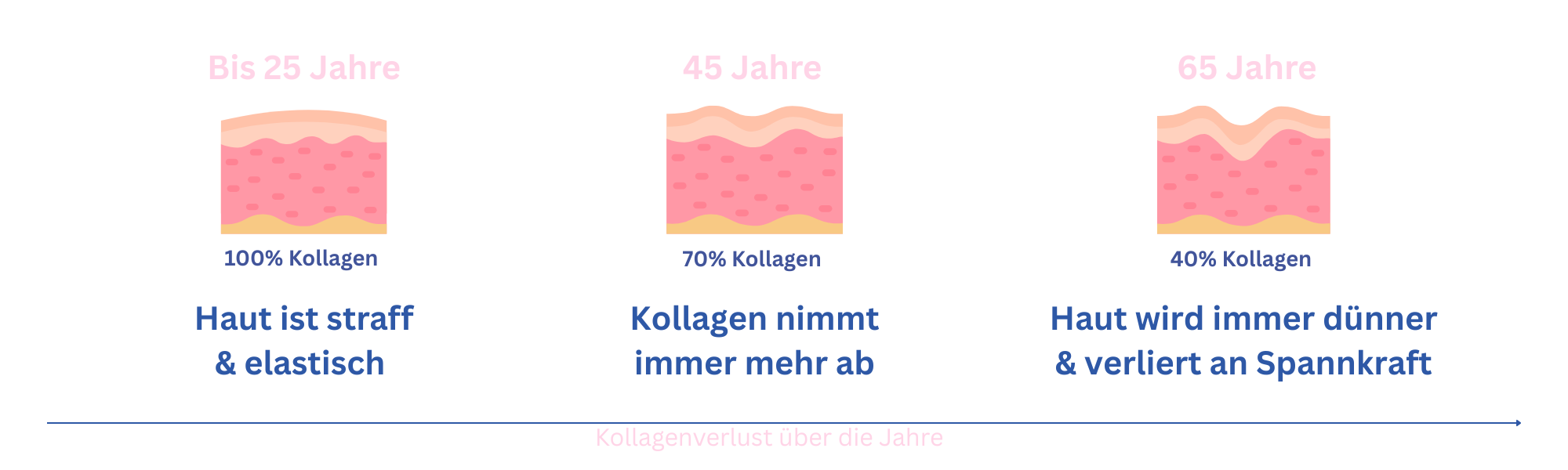 Illustration of collagen loss in skin at ages 25, 45, and 65.