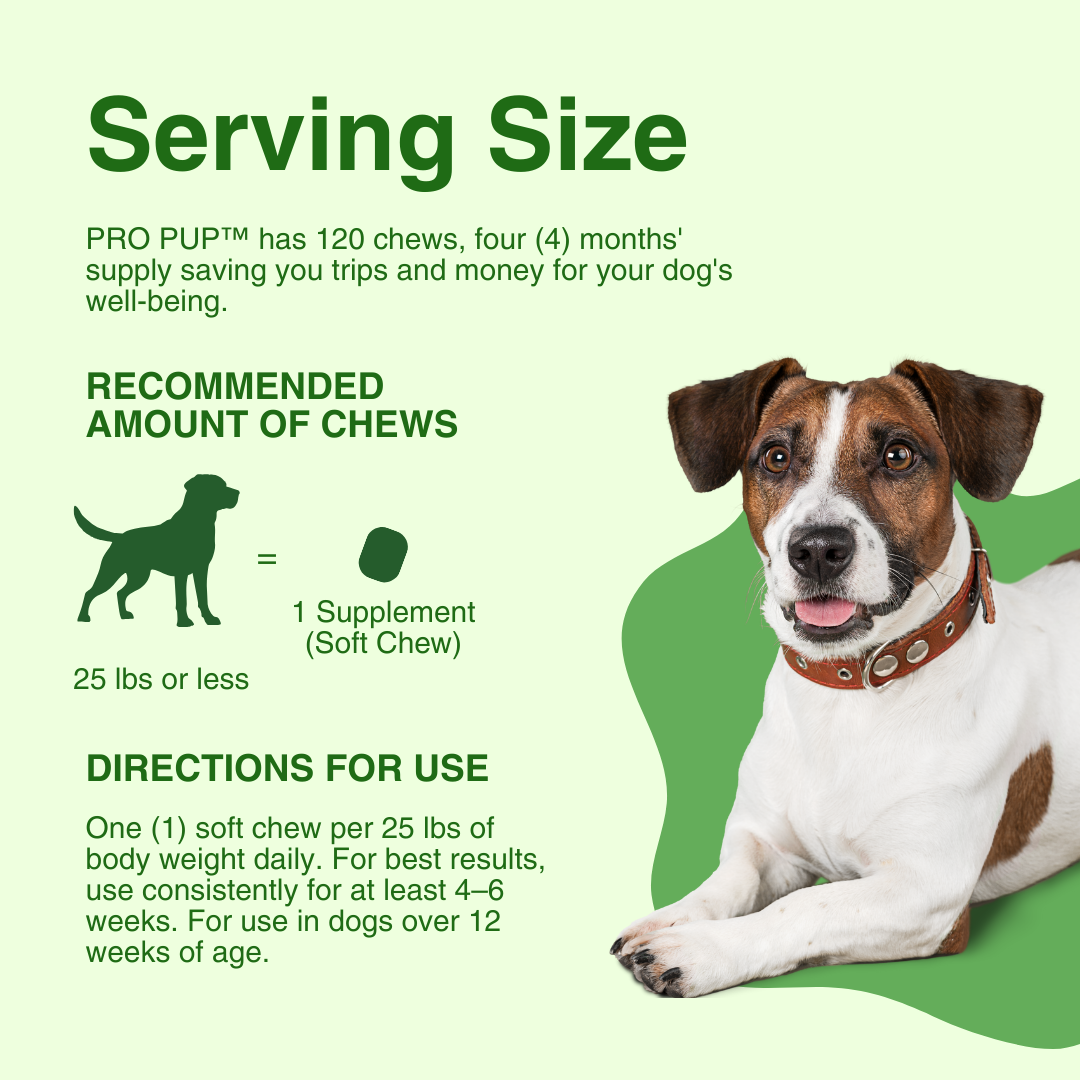 Dog with text about serving size and directions for use of dog chews.