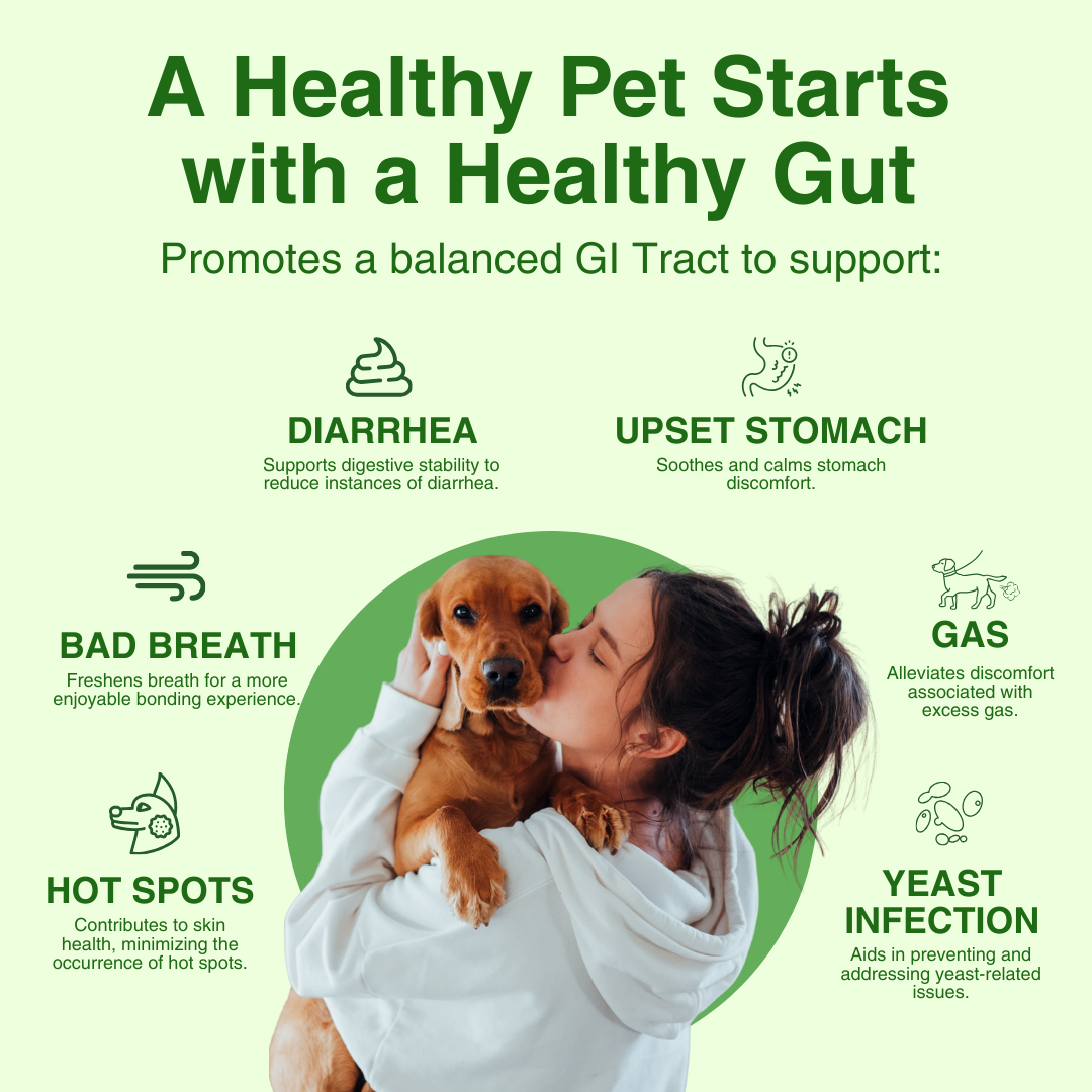 Woman kissing a dog, surrounded by text about pet digestive health.