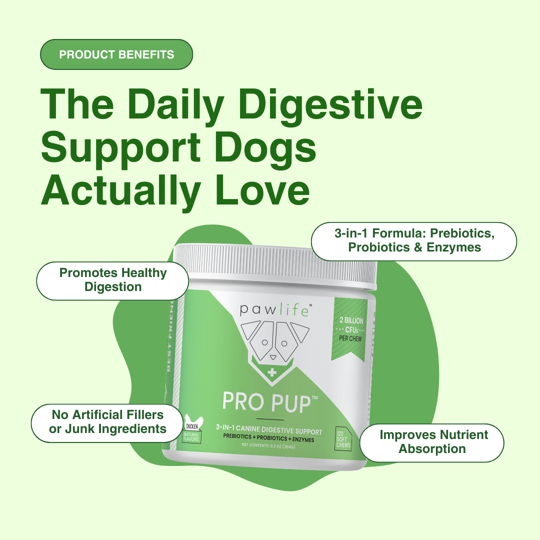 Green product label for dog digestive support supplement with benefits highlighted.