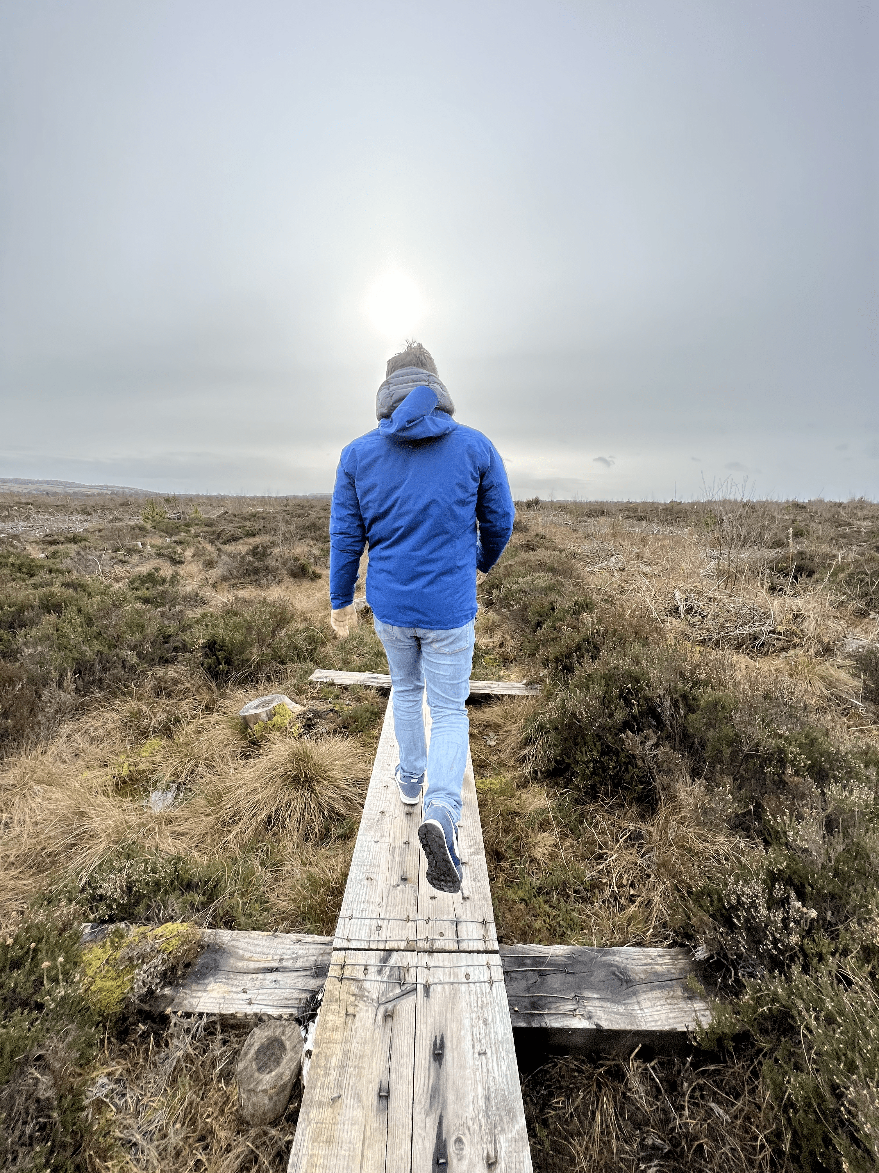 Person in blue jacket walking on a wooden path in a grassy field.