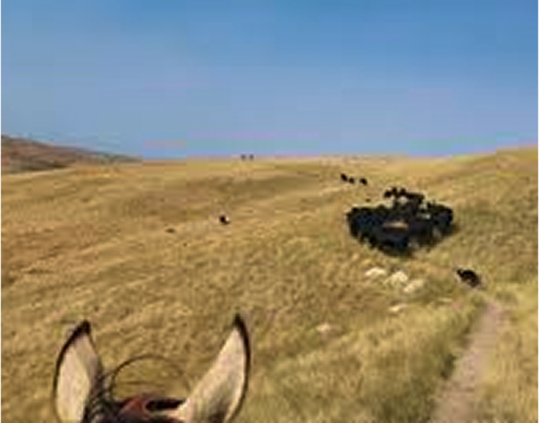 View from horseback of cattle grazing on a grassy hillside.