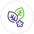 Icon of two leaves and a flower on a white background.
