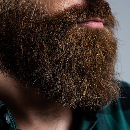 Close-up of a man's thick, brown beard and mustache.