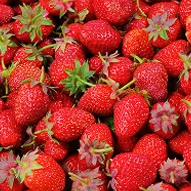 A pile of fresh red strawberries with green leaves.
