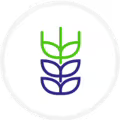 Abstract green and blue plant icon on a white background.