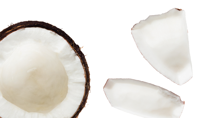 Half coconut and three coconut pieces on a white background.