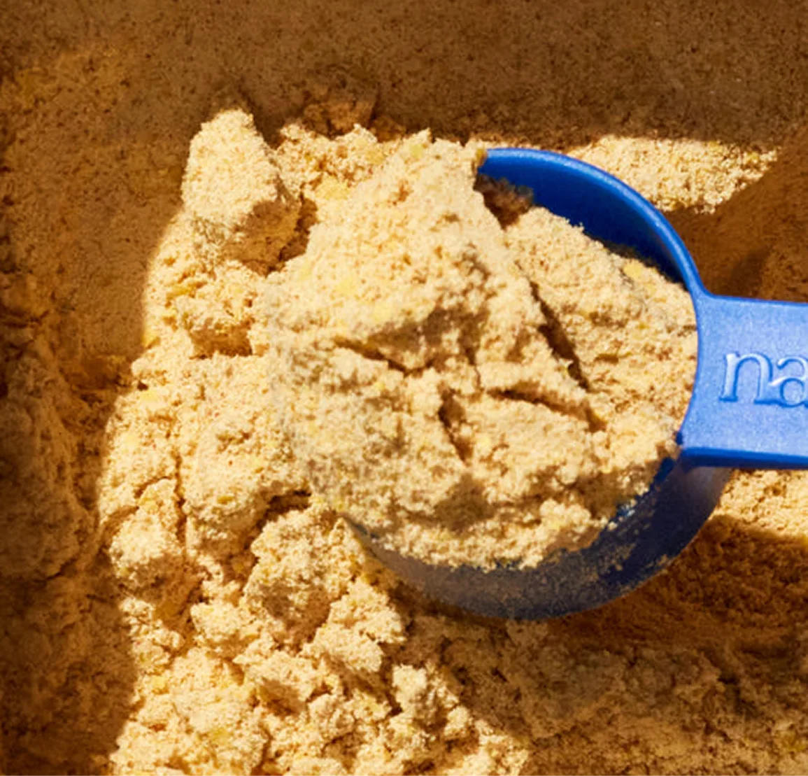 A close-up overhead shot of a blue scoop filled with a light brown, grainy powder.