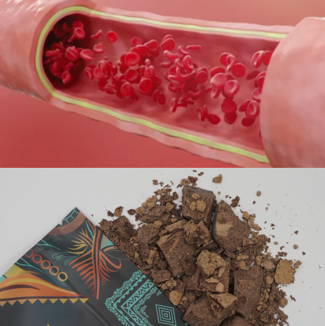 Illustration of blood cells in a vessel and broken chocolate pieces on a patterned wrapper.