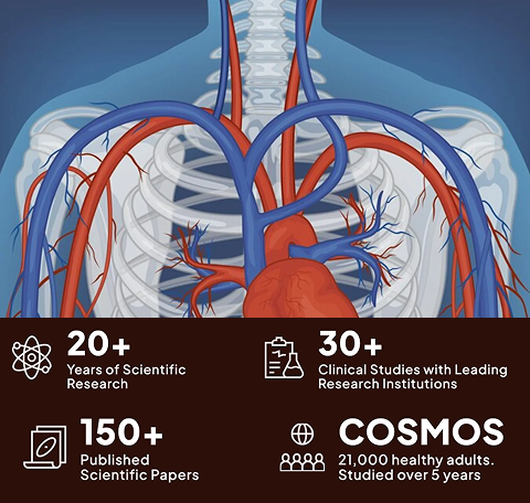 Illustration of human circulatory system with research statistics overlay.