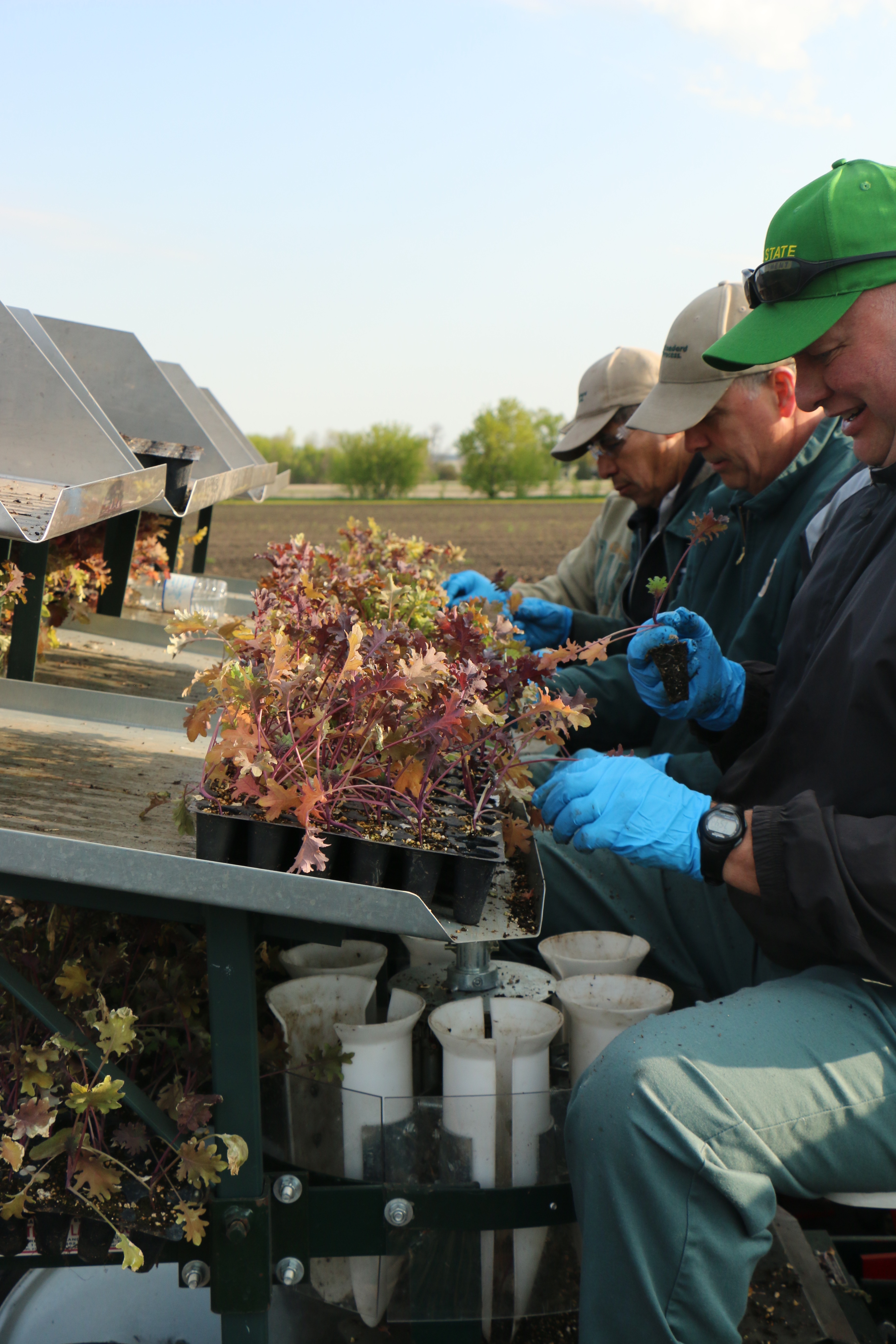 People planting seedlings in trays on a farm, wearing gloves and hats.