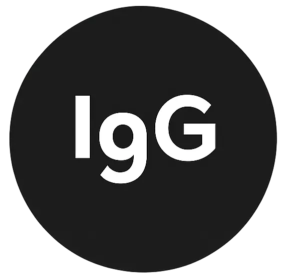 Black circle with white text 'IgG' inside.