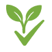 A green icon of a checkmark with a two-leaf plant sprout growing out of it.