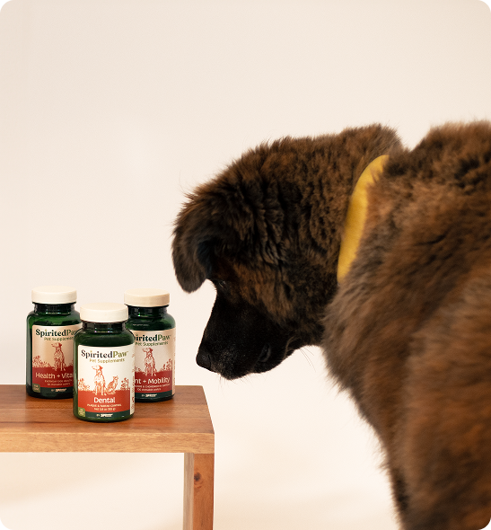 A brindle dog with a yellow collar looks at three bottles of supplements on a wooden table.