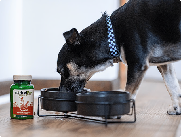 A black and tan dog eats from a bowl next to a bottle of SpiritedPaw pet supplements.