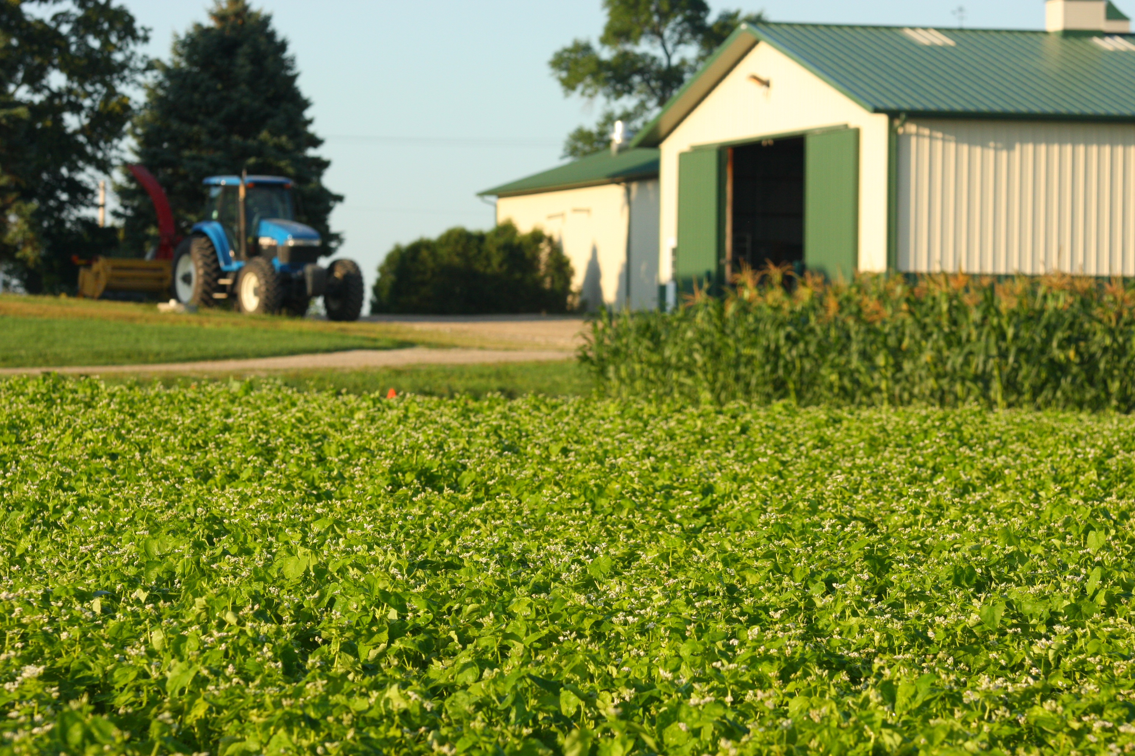 Green field with a blue tractor and barn in the background.