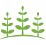 A light green icon of three stylized saplings.