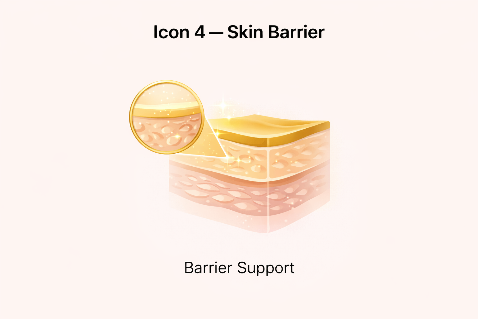 An illustration showing a cross-section of the skin, with a magnified view highlighting the protective barrier.