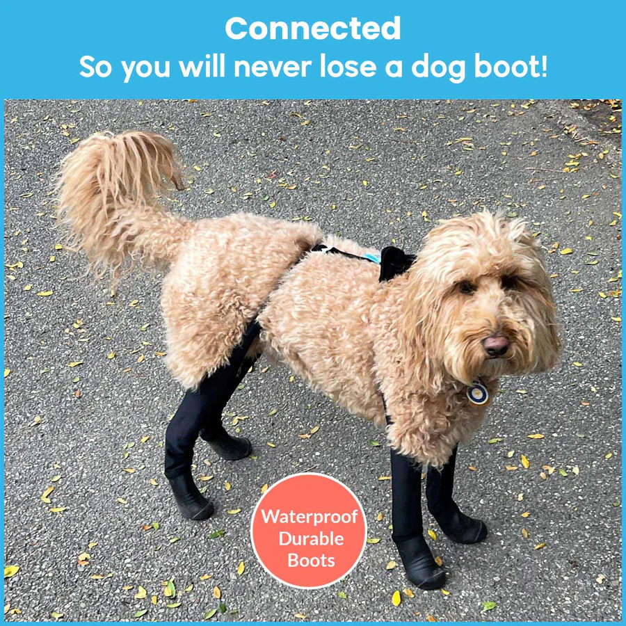 Measuring guide for different sizes of dog boots with paw width and height details.