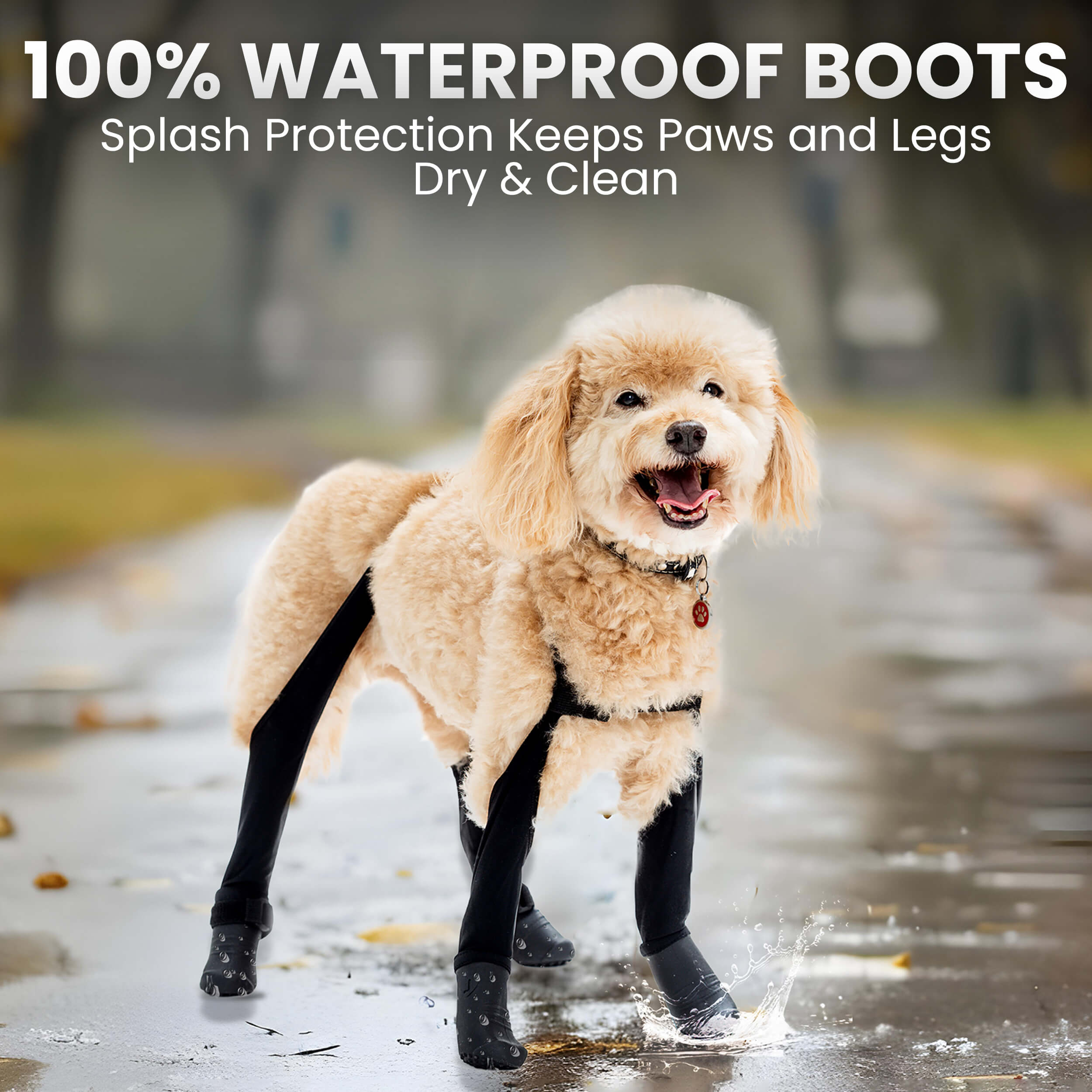 Dog wearing waterproof boots splashing in a puddle.